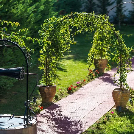 California - Adults Only 4*